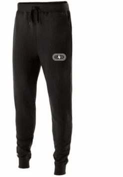 Men's 60/40 Fleece Jogger (Black/Metallic Silver)