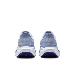 Nike Men's Pegasus 41 (014 - Ghost/Blue Void-Football Grey-Deep Night) 16 Nike Men's Pegasus 41 (014 - Ghost/Blue Void-Football Grey-Deep Night) -TCRunning Shop AURORA FD2722 014 PHCBH000 2000