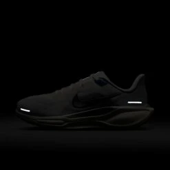 Nike Women's Pegasus 41 (007 - Photon Dust/Metallic Pewter-Sail-Echo Pink) 23 Nike Women's Pegasus 41 (007 - Photon Dust/Metallic Pewter-Sail-Echo Pink) -TCRunning Shop AURORA FD2723 007 PHSLH200 2000