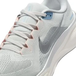 Nike Women's Pegasus 41 (007 - Photon Dust/Metallic Pewter-Sail-Echo Pink) 15 Nike Women's Pegasus 41 (007 - Photon Dust/Metallic Pewter-Sail-Echo Pink) -TCRunning Shop AURORA FD2723 007 PHSYD001 2000