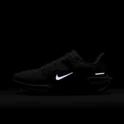 Nike Women's Pegasus 41 (102 - White/White-Pure Platinum) -TCRunning Shop AURORA FD2723 102 PHSLH201 2000