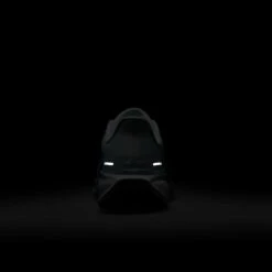 Nike Women's Pegasus 41 (113 - White/Mint Foam-Pure Platinum-Cannon) -TCRunning Shop AURORA FD2723 113 PHSBH200 2000