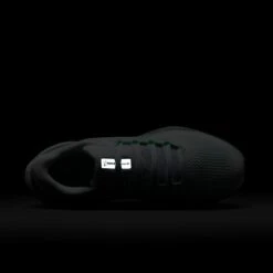 Nike Women's Pegasus 41 (113 - White/Mint Foam-Pure Platinum-Cannon) -TCRunning Shop AURORA FD2723 113 PHSTH200 2000