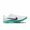 Nike Unisex Dragonfly 2 (102 - White/Black-Bright Spruce-Electric Algae)