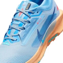 Nike Men’s React Pegasus Trail 5 GORE-TEX (400 - Blue Beyond/Blue Void-Copper Moon) -TCRunning Shop AURORA FQ0908 400 PHSYD001 2000
