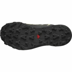 Salomon Women’s Thundercross GORE-TEX (Black/Black/Charlock) -TCRunning Shop L47383600 7 GHO THUNDERCROSSGTXWGull Carbon Coral