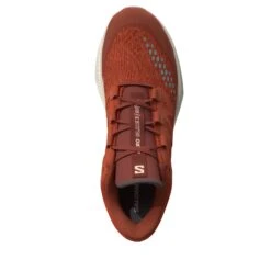 Salomon Women's Aero Glide 3 GRVL (Burnt Ochre/Vanilla Ice/Etherea) -TCRunning Shop L47812700 10 VIR AERO GLIDE 3 GRVL W BURNTOCHRE VanillaIce ETHEREA.png.high res